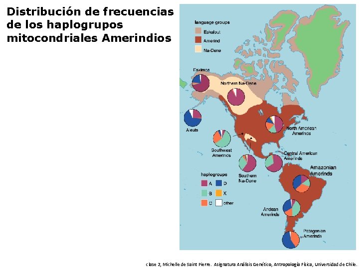 Distribución de frecuencias de los haplogrupos mitocondriales Amerindios clase 2, Michelle de Saint Pierre.