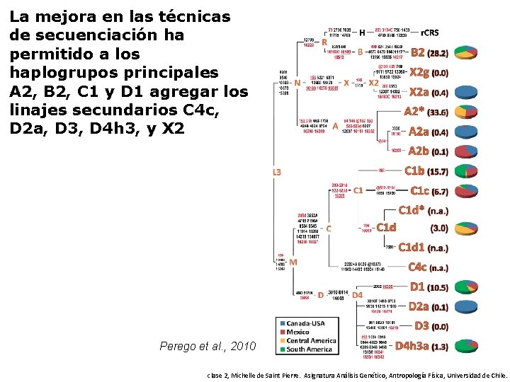 La mejora en las técnicas de secuenciación ha permitido a los haplogrupos principales A