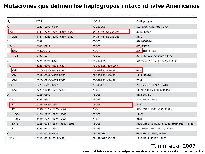 Mutaciones que definen los haplogrupos mitocondriales Americanos Tamm et al 2007 clase 2, Michelle