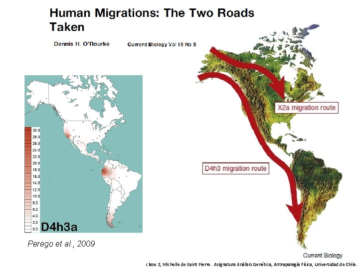 Perego et al. , 2009 clase 2, Michelle de Saint Pierre. Asignatura Análisis Genético,