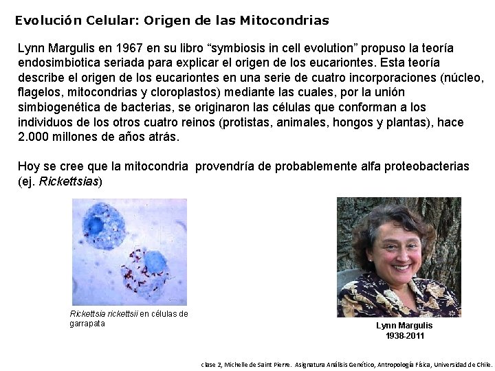 Evolución Celular: Origen de las Mitocondrias Lynn Margulis en 1967 en su libro “symbiosis
