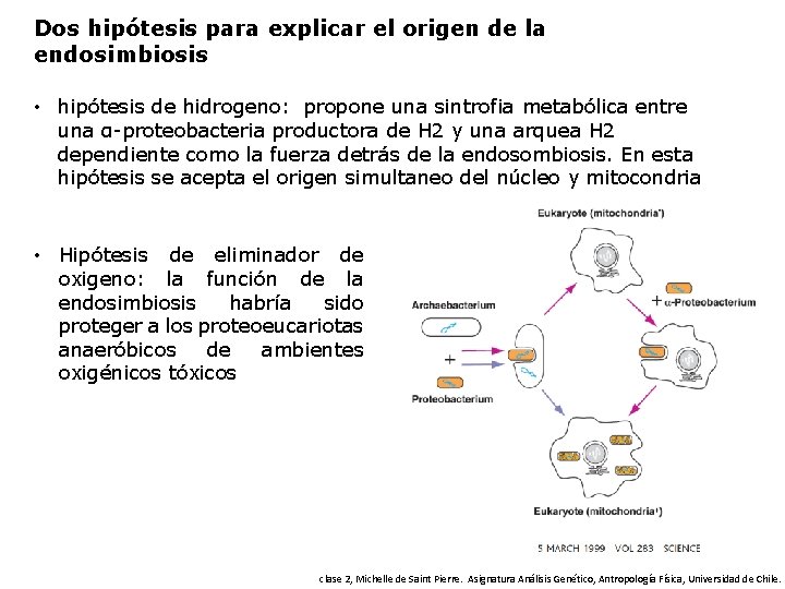 Dos hipótesis para explicar el origen de la endosimbiosis • hipótesis de hidrogeno: propone