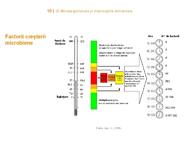 10| 32 Microorganismele și intoxicaţiile alimentare Factorii creșterii microbiene Ore Punct de fierbere Îngheţare