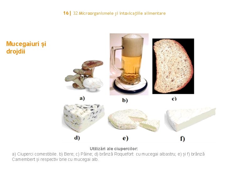 16| 32 Microorganismele și intoxicaţiile alimentare Mucegaiuri și drojdii Utilizări ale ciupercilor: a) Ciuperci