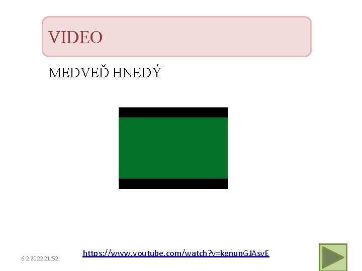 VIDEO MEDVEĎ HNEDÝ 6. 2. 2022 21: 52 https: //www. youtube. com/watch? v=kgnun. GJAsv.