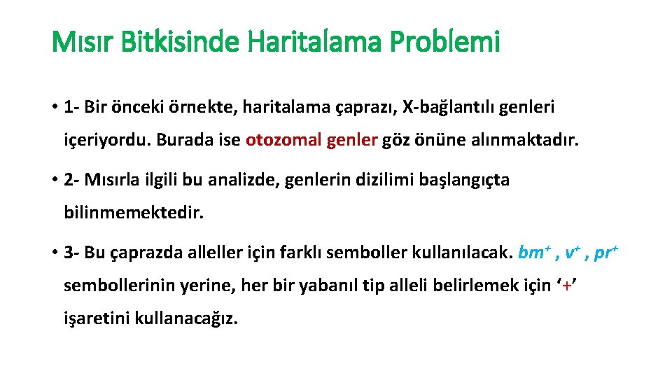 Mısır Bitkisinde Haritalama Problemi • 1 - Bir önceki örnekte, haritalama çaprazı, X-bağlantılı genleri