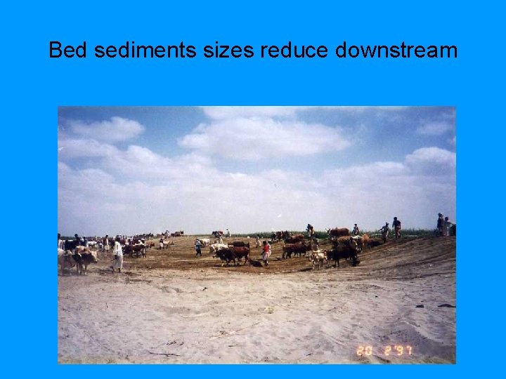 Bed sediments sizes reduce downstream 