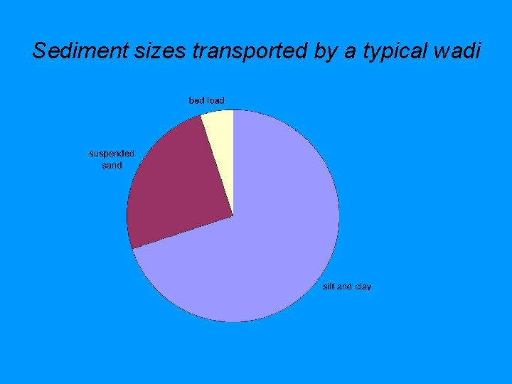 Sediment sizes transported by a typical wadi 