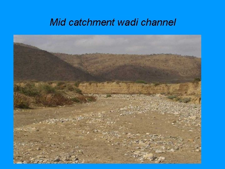 Mid catchment wadi channel 