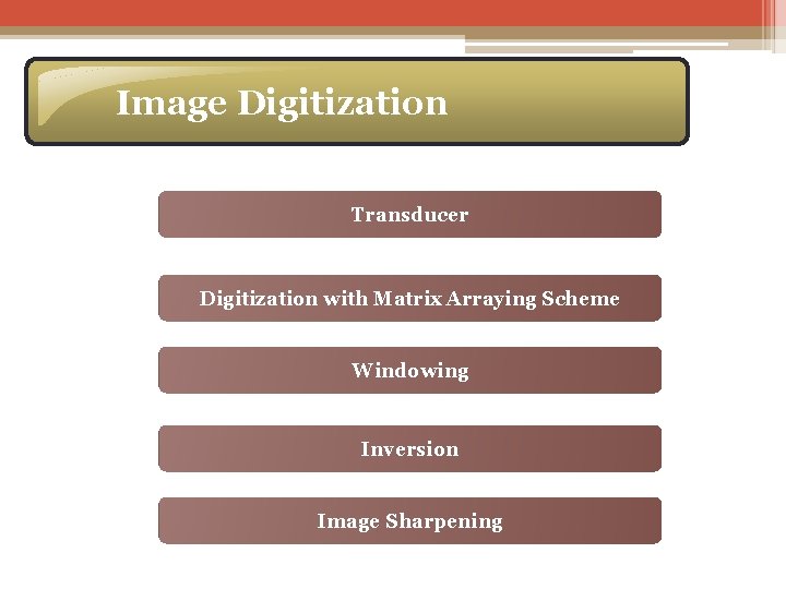Image Digitization Transducer Digitization with Matrix Arraying Scheme Windowing Inversion Image Sharpening 