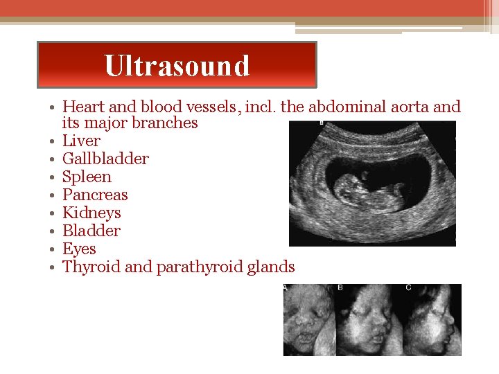 Ultrasound • Heart and blood vessels, incl. the abdominal aorta and its major branches