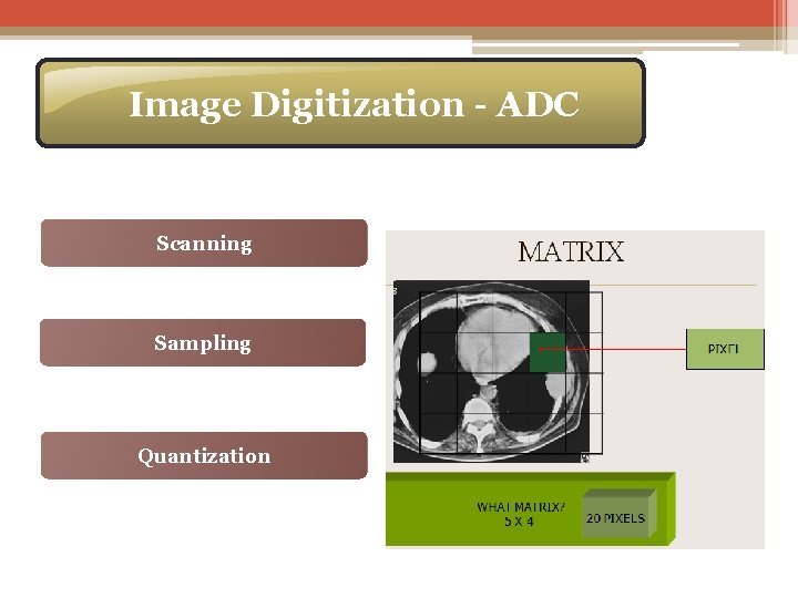 Image Digitization - ADC Scanning Sampling Quantization 