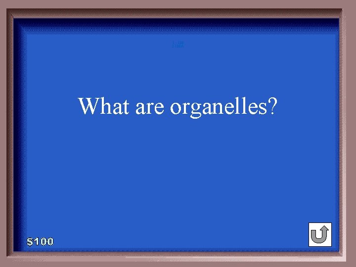1 - 100 2 -100 A What are organelles? 1 - 100 2 -100 A What are organelles?