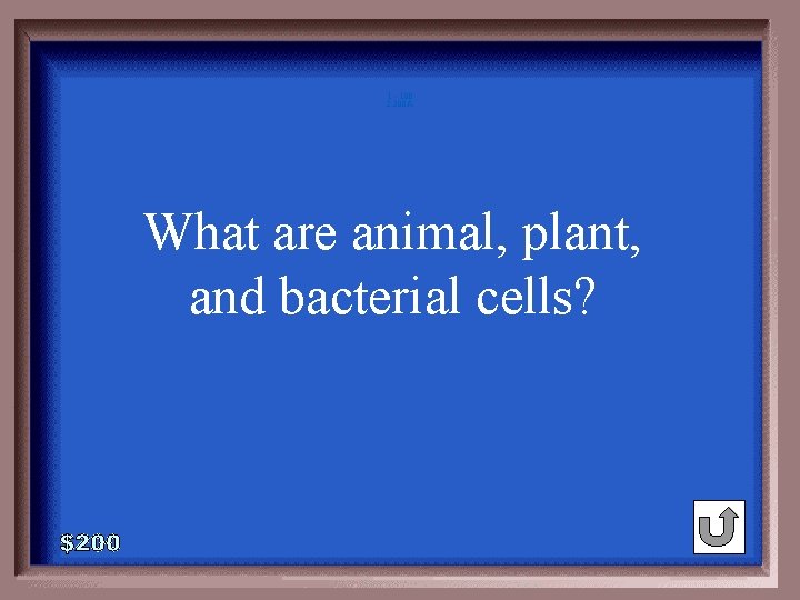 1 - 100 2 -200 A What are animal, plant, and bacterial cells? 1 - 100 2 -200 A What are animal, plant, and bacterial cells?