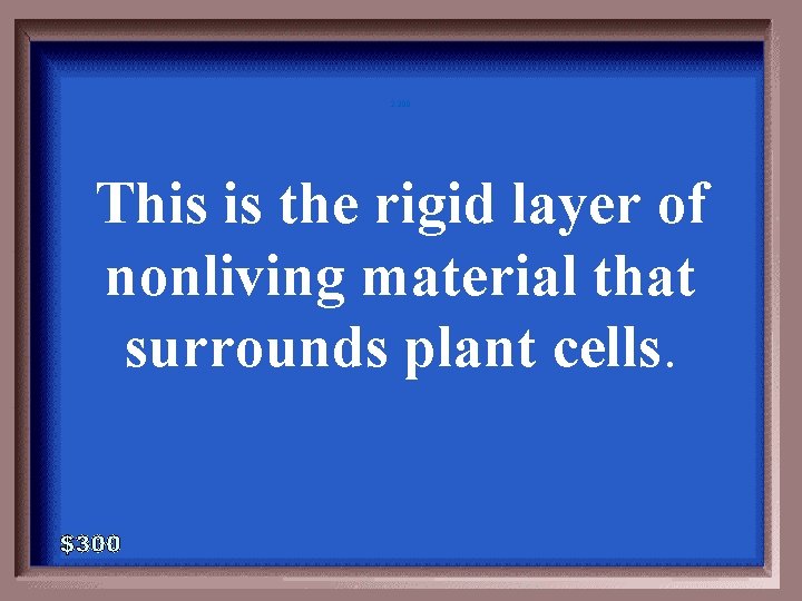 2 -300 This is the rigid layer of nonliving material that surrounds plant cells. 2 -300 This is the rigid layer of nonliving material that surrounds plant cells.