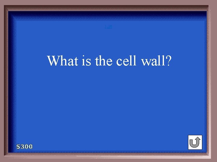 1 - 100 2 -300 A What is the cell wall? 1 - 100 2 -300 A What is the cell wall?
