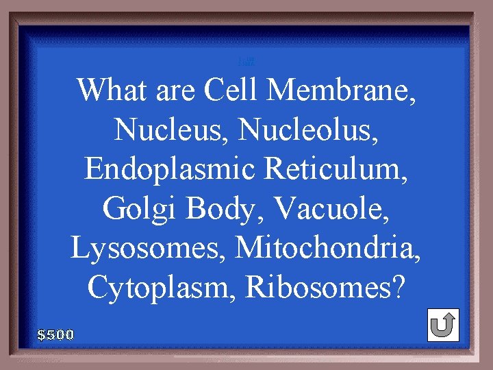 1 - 100 2 -500 A What are Cell Membrane, Nucleus, Nucleolus, Endoplasmic Reticulum, 1 - 100 2 -500 A What are Cell Membrane, Nucleus, Nucleolus, Endoplasmic Reticulum,