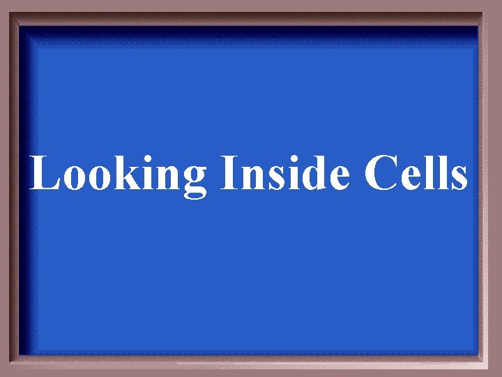 Looking Inside Cells Looking Inside Cells