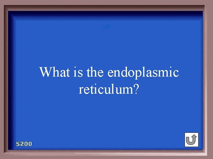 1 - 100 3 -200 A What is the endoplasmic reticulum? 1 - 100 3 -200 A What is the endoplasmic reticulum?