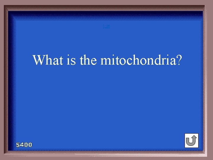 1 - 100 3 -400 A What is the mitochondria? 1 - 100 3 -400 A What is the mitochondria?