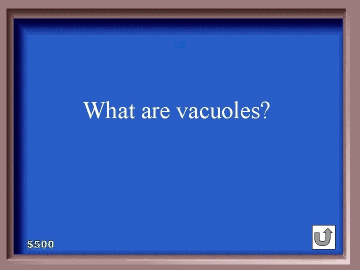 1 - 100 3 -500 A What are vacuoles? 1 - 100 3 -500 A What are vacuoles?