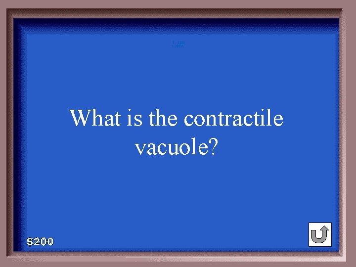 1 - 100 4 -200 A What is the contractile vacuole? 1 - 100 4 -200 A What is the contractile vacuole?