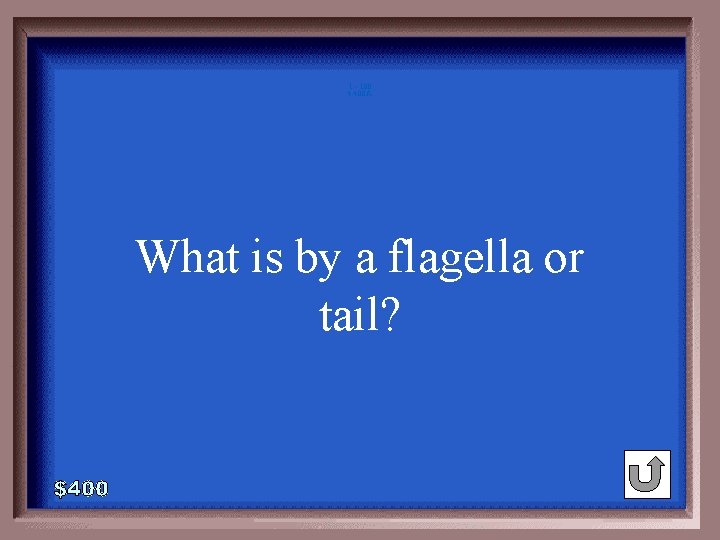 1 - 100 4 -400 A What is by a flagella or tail? 1 - 100 4 -400 A What is by a flagella or tail?