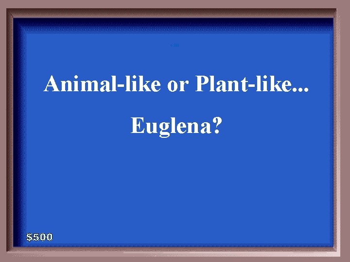 4 -500 Animal-like or Plant-like. . . Euglena? 4 -500 Animal-like or Plant-like. . . Euglena?