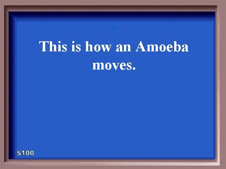 1 - 100 5 -100 This is how an Amoeba moves. 1 - 100 5 -100 This is how an Amoeba moves.