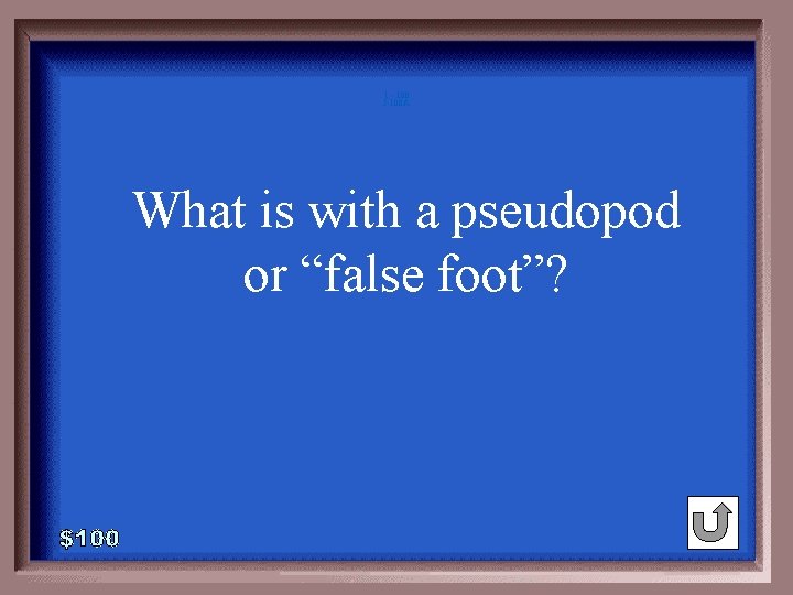 1 - 100 5 -100 A What is with a pseudopod or “false foot”? 1 - 100 5 -100 A What is with a pseudopod or “false foot”?