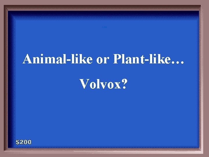 5 -200 Animal-like or Plant-like… Volvox? 5 -200 Animal-like or Plant-like… Volvox?
