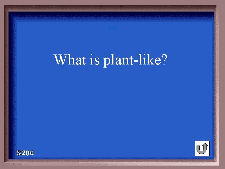 1 - 100 5 -200 A What is plant-like? 1 - 100 5 -200 A What is plant-like?