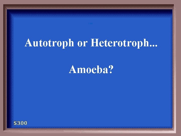 5 -300 Autotroph or Heterotroph. . . Amoeba? 5 -300 Autotroph or Heterotroph. . . Amoeba?