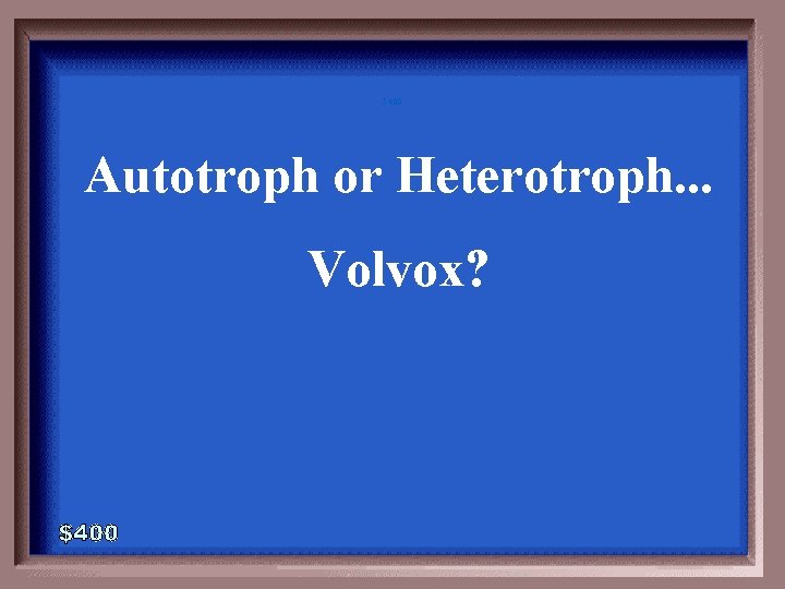 5 -400 Autotroph or Heterotroph. . . Volvox? 5 -400 Autotroph or Heterotroph. . . Volvox?