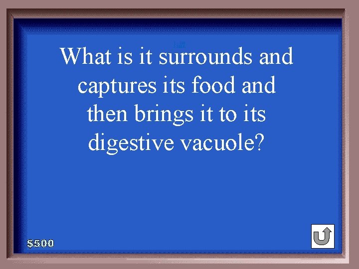 1 - 100 5 -500 A What is it surrounds and captures its food 1 - 100 5 -500 A What is it surrounds and captures its food