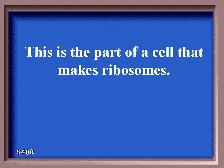 6 -400 This is the part of a cell that makes ribosomes. 6 -400 This is the part of a cell that makes ribosomes.