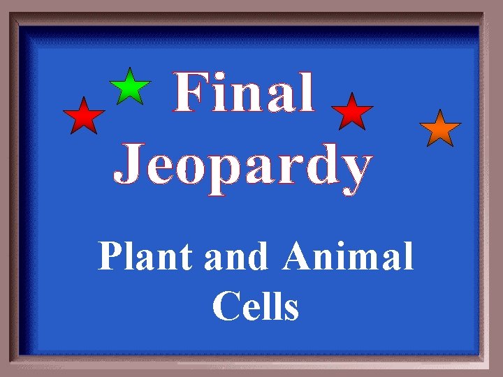 Plant and Animal Cells Plant and Animal Cells