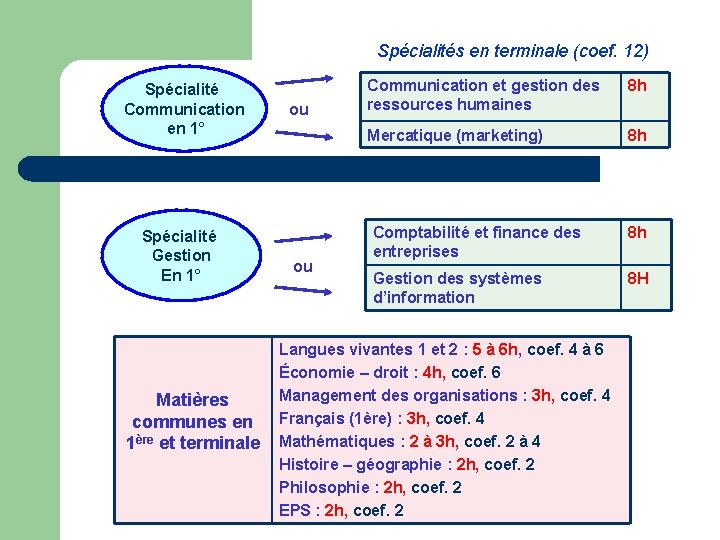 Spécialités en terminale (coef. 12) Spécialité Communication en 1° Spécialité Gestion En 1° Matières