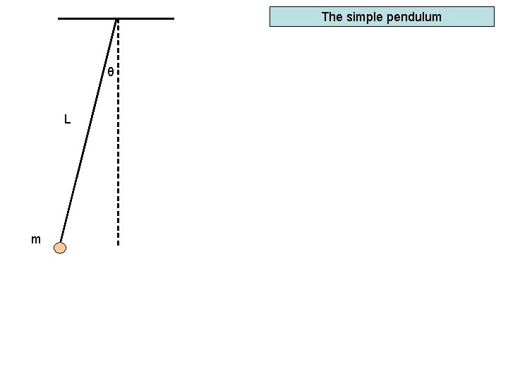 The simple pendulum θ L m 