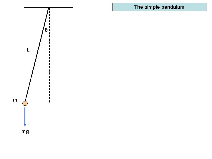 The simple pendulum θ L m mg 