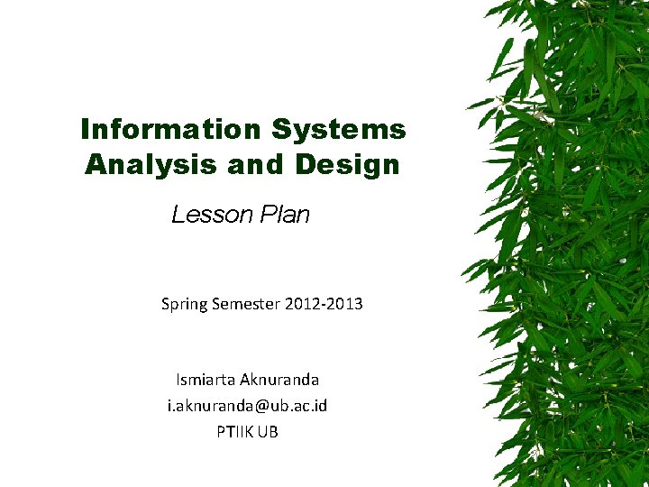 Information Systems Analysis and Design Lesson Plan Spring