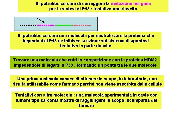 Si potrebbe cercare di correggere la mutazione nel gene per la sintesi di P