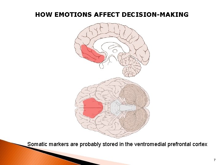 HOW EMOTIONS AFFECT DECISION-MAKING Somatic markers are probably stored in the ventromedial prefrontal cortex