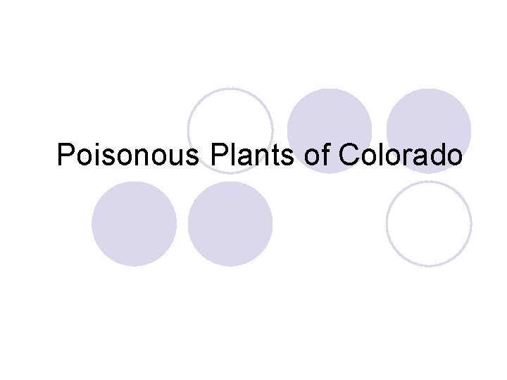 Poisonous Plants of Colorado 