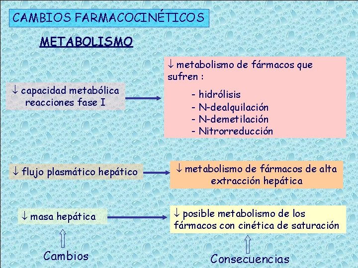 CAMBIOS FARMACOCINÉTICOS METABOLISMO metabolismo de fármacos que sufren : capacidad metabólica reacciones fase I