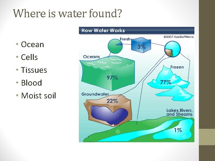 Where is water found? • Ocean • Cells • Tissues • Blood • Moist
