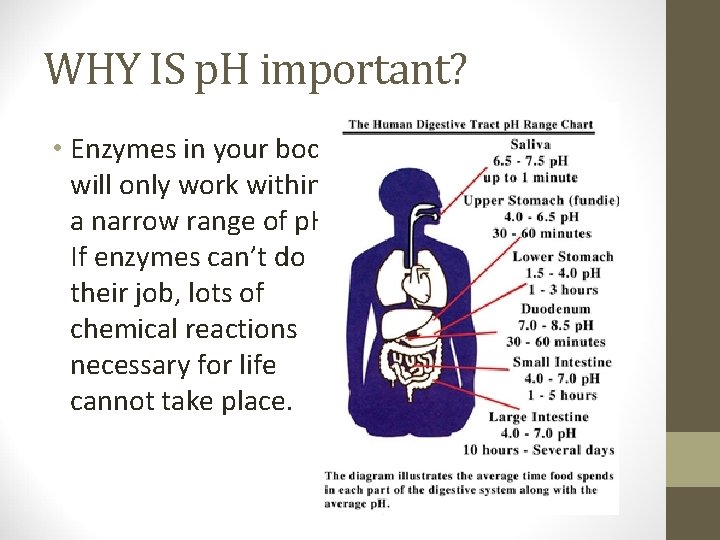 WHY IS p. H important? • Enzymes in your body will only work within