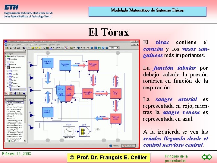 Modelado Matemático de Sistemas Físicos El Tórax El tórax contiene el corazón y los