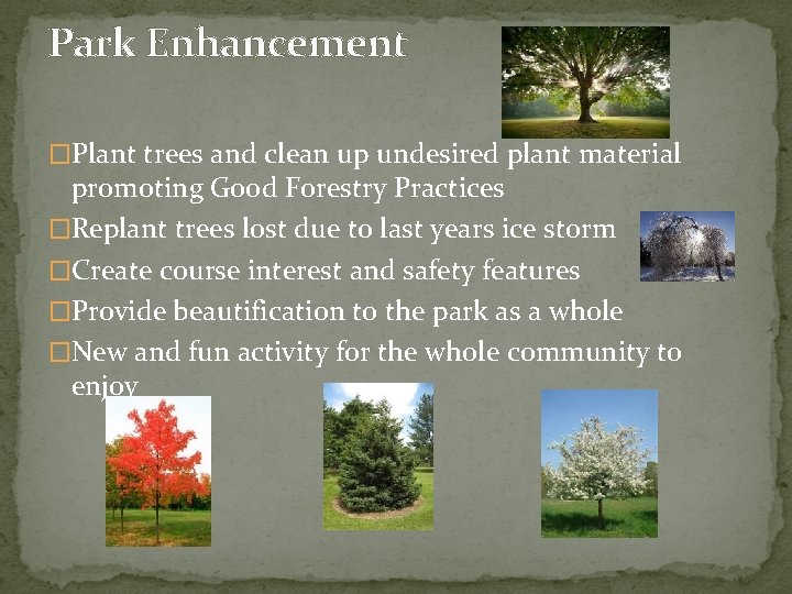 Park Enhancement �Plant trees and clean up undesired plant material promoting Good Forestry Practices