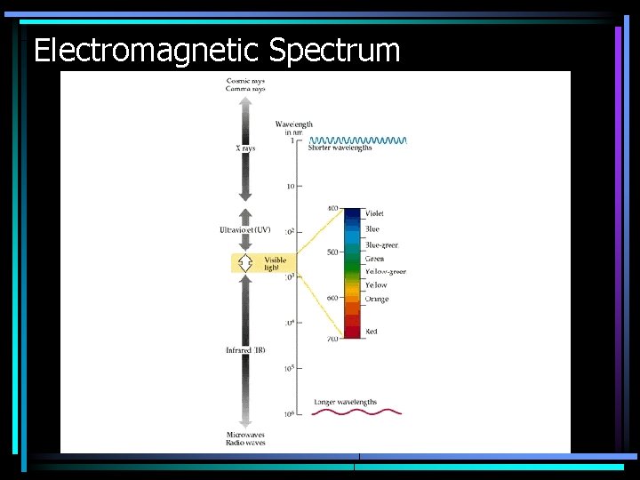 Electromagnetic Spectrum 